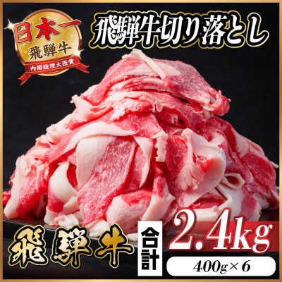 飛騨牛 切り落とし 約2.4kg(約400g×6パック)【冷蔵便】【配送不可地域：離島】【1544086】