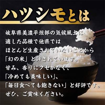 羽島市まるっと詰め合わせ(D)【複数個口で配送】【配送不可地域：離島】【4014411】