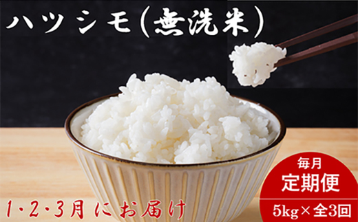 【発送月固定定期便】生産者応援!岐阜県産ハツシモ(無洗米)5kg【1・2・3月発送】全3回【配送不可地域：離島】【4075502】
