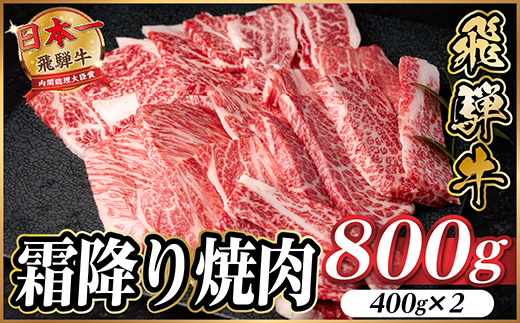 飛騨牛 霜降り焼肉 約800g(約400g×2)BBQ用(上カルビ、肩ロース、カイノミ、など)訳あり【配送不可地域：離島】【1733137】