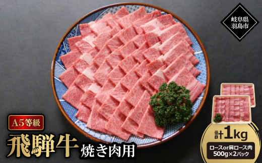 A5等級飛騨牛:焼き肉用1kg　ロース又は肩ロース肉【配送不可地域：離島】【1539401】