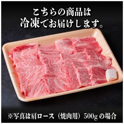 飛騨牛 厳選肩ロース(焼肉・BBQ用)　600g(300g×2)　黒毛和牛　小分け【配送不可地域：離島】【1674158】