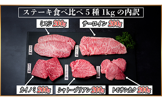 飛騨牛　ステーキ5種食べ比べセット　計1kg【配送不可地域：離島】【1530558】