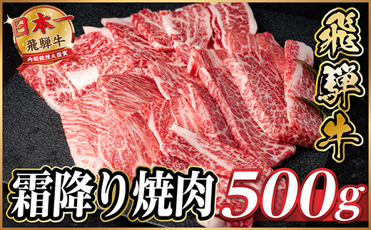 飛騨牛 霜降り焼肉 約500g BBQ用(上カルビ、肩ロース、カイノミ、ザブトン、ミスジなど)訳あり【配送不可地域：離島】【1733135】