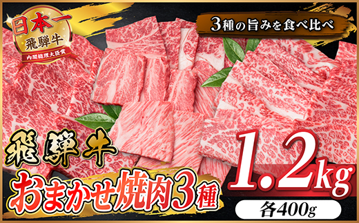 飛騨牛　おまかせ焼肉3種セット約1.2kg(各約400g)訳あり　BBQ　上カルビ・ロースなど【配送不可地域：離島】【1739040】