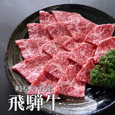 A5等級飛騨牛:赤身肉焼き肉用約1kg　モモ又はカタ肉【配送不可地域：離島】【1539413】