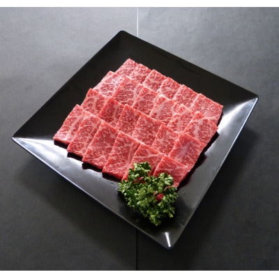 A5等級飛騨牛:赤身肉焼肉用500g　モモ又はカタ肉【配送不可地域：離島】【1539485】