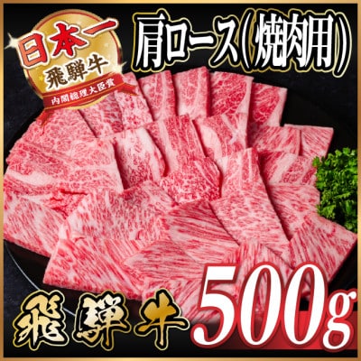 【12/20ご入金分まで年内発送】飛騨牛　厳選肩ロース(焼肉・BBQ用)500g　A4〜A5等級【配送不可地域：離島】【1543801】