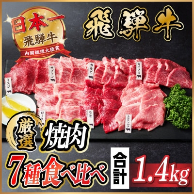 飛騨牛　焼肉厳選7種食べ比べセット　約1.4kg(味つけ用タレ・つけタレ付き)【配送不可地域：離島】【1532682】