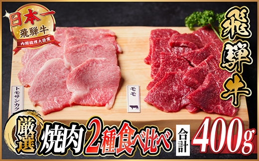 飛騨牛　トモサンカク・モモ焼肉　約400g(各約200g)【配送不可地域：離島】【1531166】