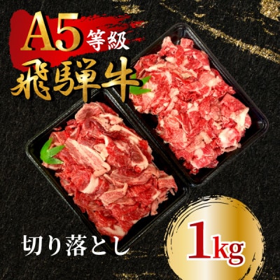 飛騨牛5等級 切り落とし1kg　FTA196【配送不可地域：離島】【1578220】