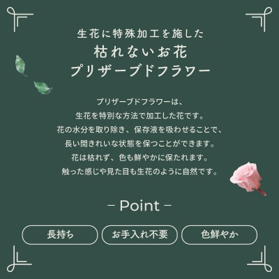 ããªã¶ãŒãããã©ã¯ãŒ ããŒã åã¢ã¬ã³ãž ããã¶ãŒãºã¬ãŒãã³(ã°ãªãŒã³)ãã1745811ã