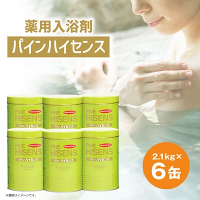 薬用入浴剤パインハイセンス 2.1kg×6缶【1490303】