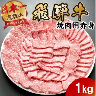 飛騨牛 モモ・カタ赤身焼肉1kg(500g×2P) (焼肉・BBQ 用) 養老ミート【配送不可地域：離島】【1746394】
