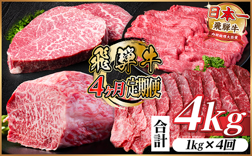 【毎月定期便】飛騨牛 赤身定期便 計4kg 焼肉 BBQ すき焼き しゃぶしゃぶ ブロック全4回【配送不可地域：離島】【4072655】