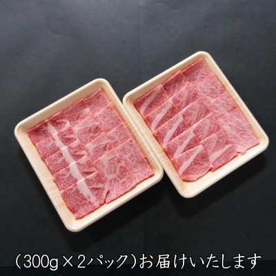 A5等級飛騨牛:焼肉用600g　ロース又は肩ロース肉【配送不可地域：離島】【1539448】