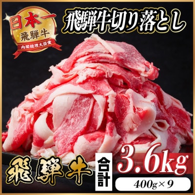 飛騨牛 切り落とし 約3.6kg(約400g×9パック)【冷蔵便】【配送不可地域：離島】【1544108】