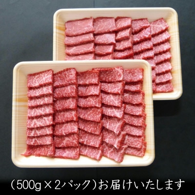 A5等級飛騨牛:赤身肉焼き肉用約1kg　モモ又はカタ肉【配送不可地域：離島】【1539413】