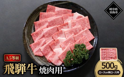 A5等級飛騨牛:焼肉用500g　ロース又は肩ロース肉【配送不可地域：離島】【1539476】