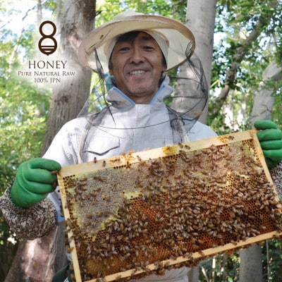 クロガネモチ(はちみつ)300g×2本【1419506】