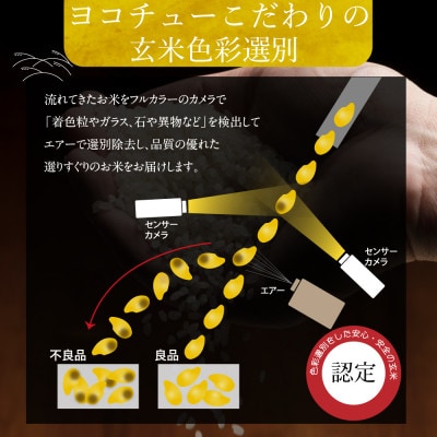 【玄米】新米　岐阜県産ハツシモ　30kg　令和6年産【配送不可地域：離島】【1530932】