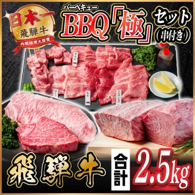 飛騨牛　BBQ「極」セット(串付き)約2.5kg(味つけ用タレ・つけタレ・ローストビーフソース付き)【配送不可地域：離島】【1534612】