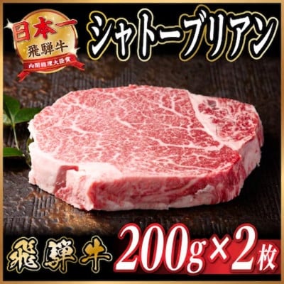 飛騨牛 シャトーブリアン 約400g(約200g×2枚)  黒毛和牛 ステーキ牛肉【配送不可地域：離島】【1733119】