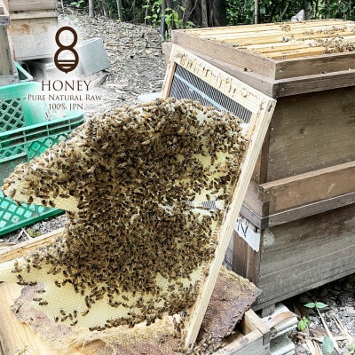 譌ゥ譏・縺ョ蛻晄誓繧(縺ッ縺。縺ソ縺、)300gテ2譛ャ縲1419493縲