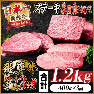 【毎月定期便】飛騨牛 ステーキ定期便 計約1.2kg【冷蔵便】全3回【配送不可地域：離島】【4055330】