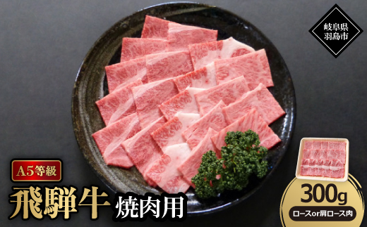 A5等級飛騨牛:焼肉用300g　ロース又は肩ロース肉【配送不可地域：離島】【1539472】