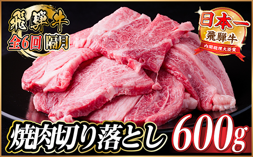【2ヵ月毎定期便】飛騨牛 焼肉切り落とし 約600g(約300g×2)タレ付き 訳あり全6回【配送不可地域：離島】【4084212】