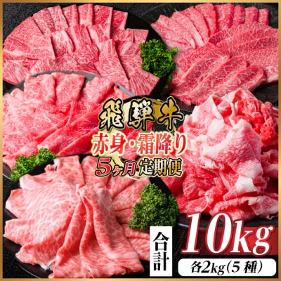 【毎月定期便】飛騨牛　赤身・霜降り定期便　計10kg カルビ・赤身・ロース(焼肉・BBQ用)全5回【配送不可地域：離島】【4075141】