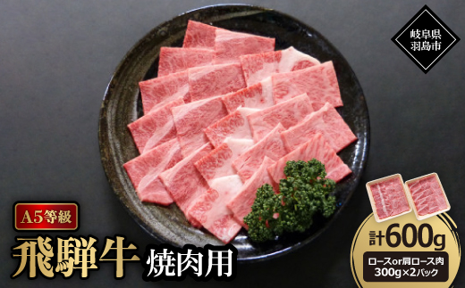 A5等級飛騨牛:焼肉用600g　ロース又は肩ロース肉【配送不可地域：離島】【1539448】