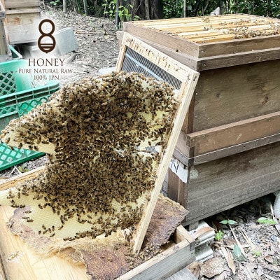 クロガネモチ(はちみつ)180g【1419338】