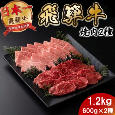 プチ贅沢!飛騨牛焼肉2種セット6人前1.2kg 赤身・霜降り(モモ・カタ/バラカルビ)【配送不可地域：離島】【1753981】