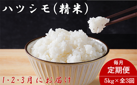 【発送月固定定期便】生産者応援!岐阜県産ハツシモ(精米)5kg【1・2・3月発送】全3回【配送不可地域：離島】【4075500】