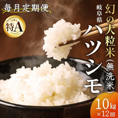 【毎月定期便】岐阜県産ハツシモ(無洗米) 10kg全12回【配送不可地域：離島】【4076358】