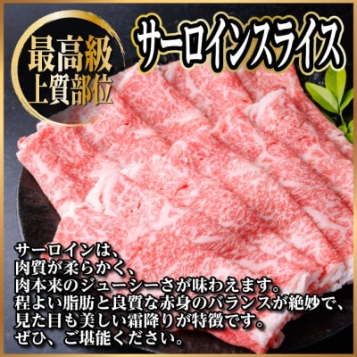 飛騨牛　厳選サーロインスライス　600g(300g×2)　しゃぶしゃぶ用　黒毛和牛　小分け【配送不可地域：離島】【1653664】