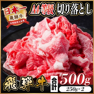 飛騨牛 A4等級 切り落とし 500g【配送不可地域：離島】【1545103】