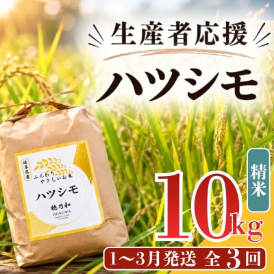 【発送月固定定期便】【先行予約】生産者応援!岐阜県産ハツシモ(精米)10kg【1〜3月発送】全3回【配送不可地域：離島】【4089358】