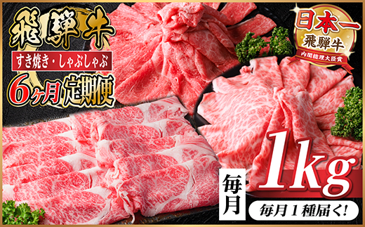 【毎月定期便】飛騨牛　厳選すき焼き・しゃぶしゃぶ用　定期便　1kg全6回【配送不可地域：離島】【4072497】