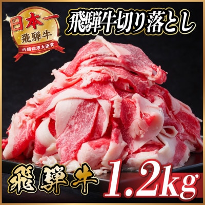 飛騨牛　切り落とし　約1.2kg　【冷蔵便】【配送不可地域：離島】【1534704】