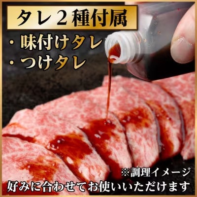飛騨牛　赤身・霜降り焼肉2種食べ比べセット(ヒレ・三角バラカルビ)　計600g(各300g)タレ付き【配送不可地域：離島】【1745784】