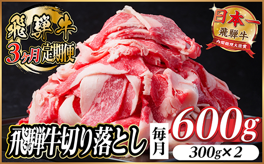 【毎月定期便】飛騨牛　切り落とし　約600g【冷蔵便】全3回【配送不可地域：離島】【4055014】