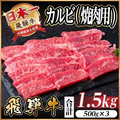飛騨牛 厳選カルビ(焼肉・BBQ用) 1.5kg(500g×3)　黒毛和牛　小分け　A4〜A5等級【配送不可地域：離島】【1543785】