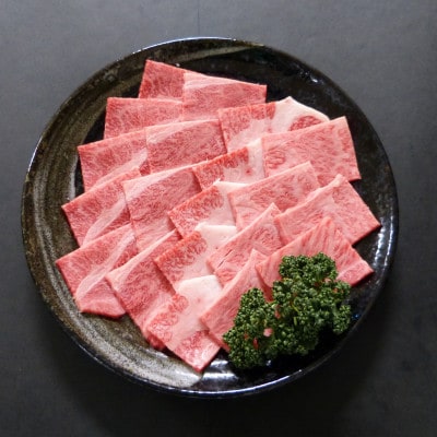 A5等級飛騨牛:焼肉用500g　ロース又は肩ロース肉【配送不可地域：離島】【1539476】