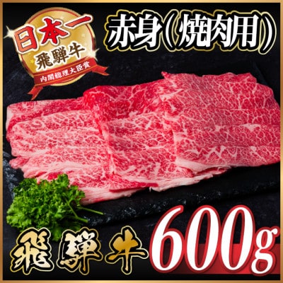 飛騨牛　厳選赤身(焼肉・BBQ用) 600g(300g×2)　黒毛和牛　小分け　A4〜A5等級【配送不可地域：離島】【1543753】