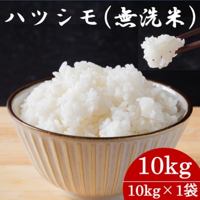 令和7年産　岐阜県産ハツシモ(無洗米)10kg　国産 米【配送不可地域：離島】【1540853】