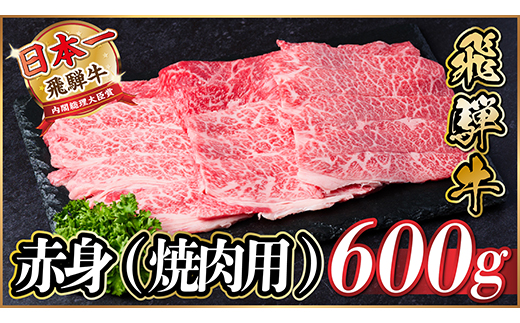 【12/20ご入金分まで年内発送】飛騨牛　厳選赤身(焼肉・BBQ用) 600g(300g×2)小分け【配送不可地域：離島】【1543753】