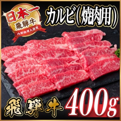 飛騨牛　厳選カルビ(焼肉・BBQ用) 400g　A4〜A5等級 黒毛和牛【配送不可地域：離島】【1732947】